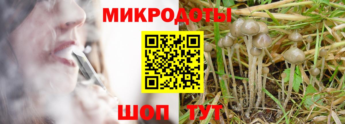 даркнет сайт  Галлюциногенные грибы MAGIC MUSHROOMS  Сокол  Вход с VPN  Псилоцибиновые грибы прущие грибы 